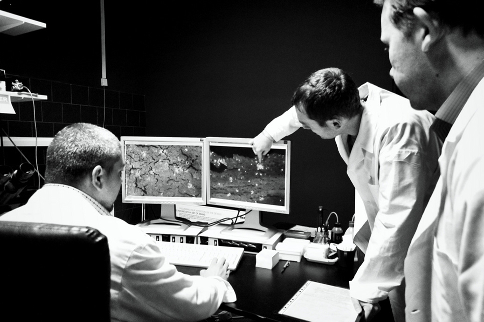 Pharmacoidea Kft. Pharmacoidea Kft.