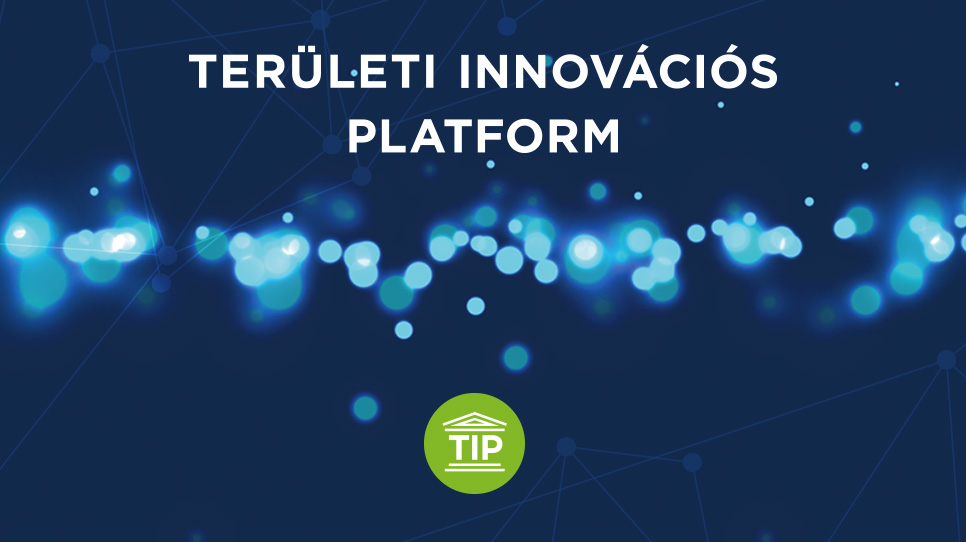 Területi Innovációs Platformok Területi Innovációs Platformok