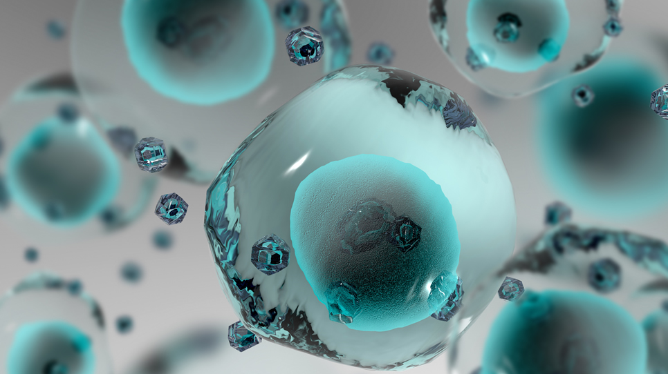 nanotechnológia nanotechnológia
