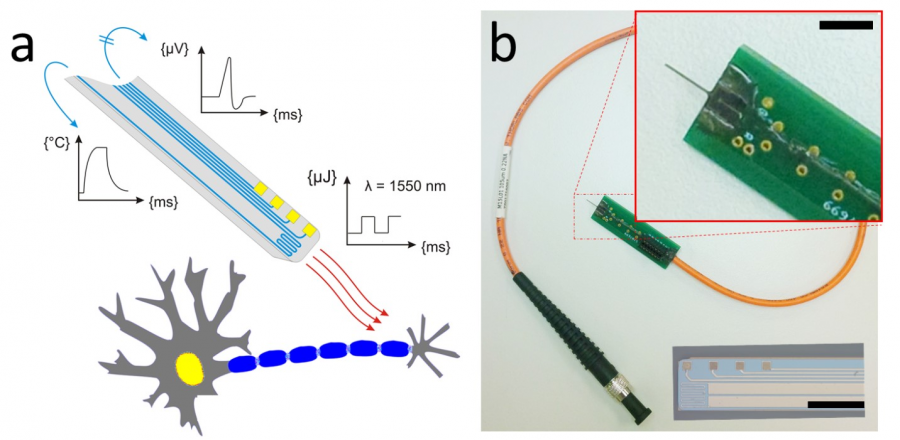integrált, tűalakú mikroeszköz integrált, tűalakú mikroeszköz