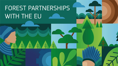 FOREST partnerships FOREST partnerships